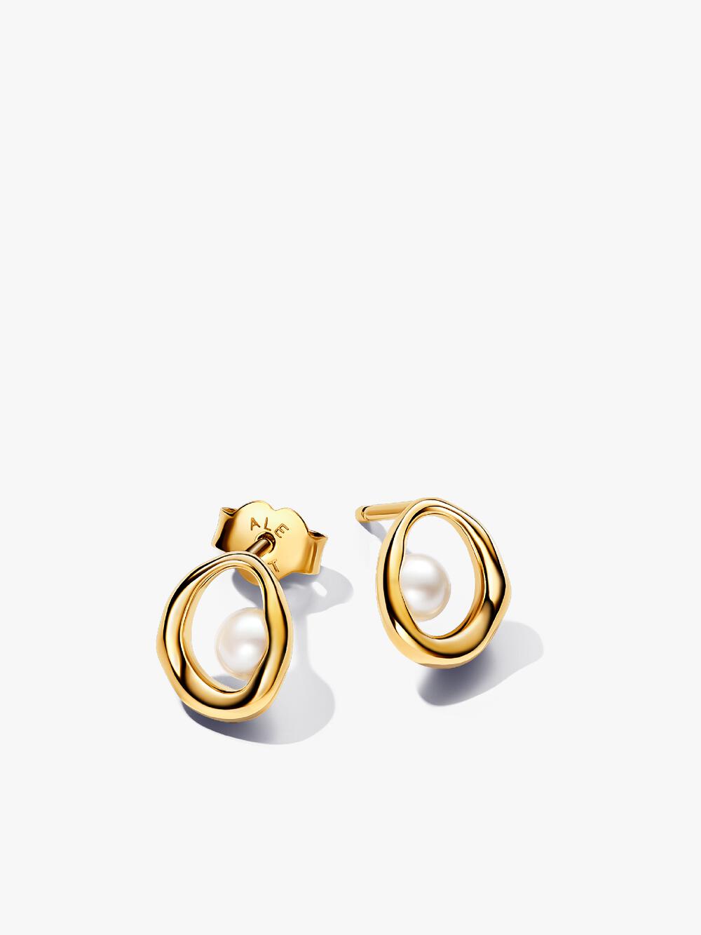 Organically V-shaped Open Hoop Earrings Z1 ix